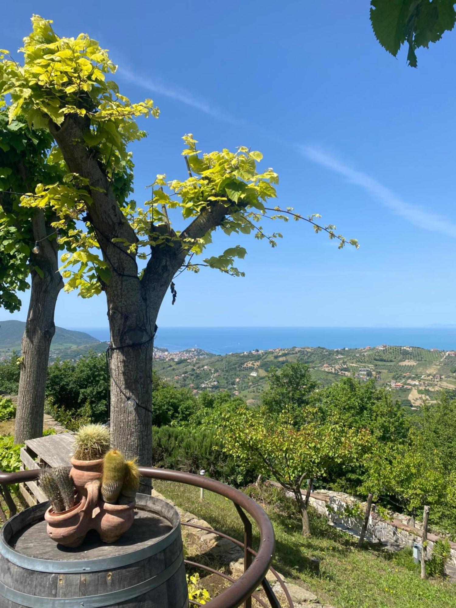 B&B Il Giardino Di Armida Ogliastro Cilento Exterior foto